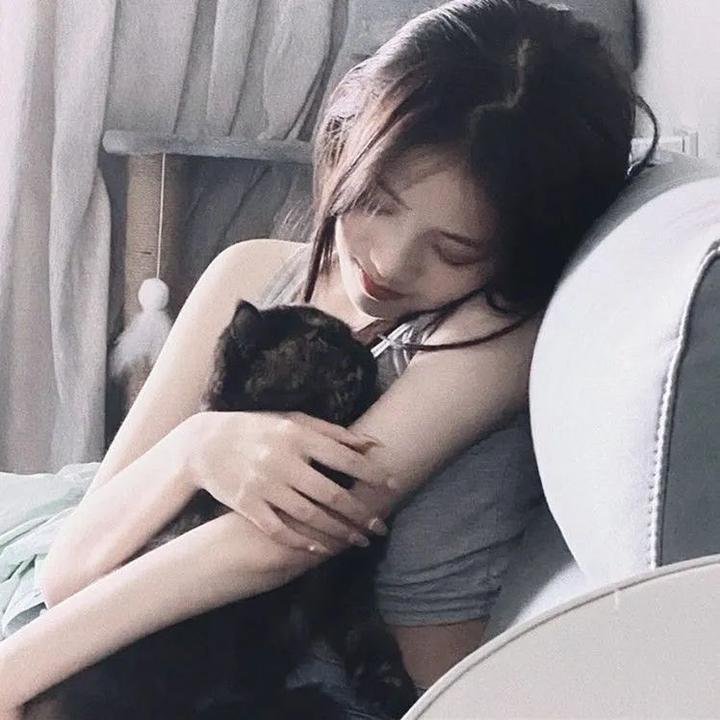 犬之心