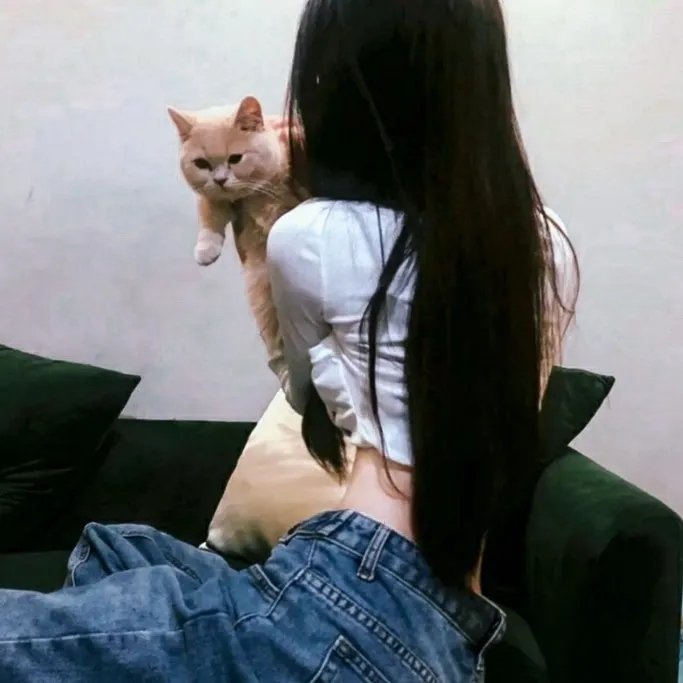 天使的战争